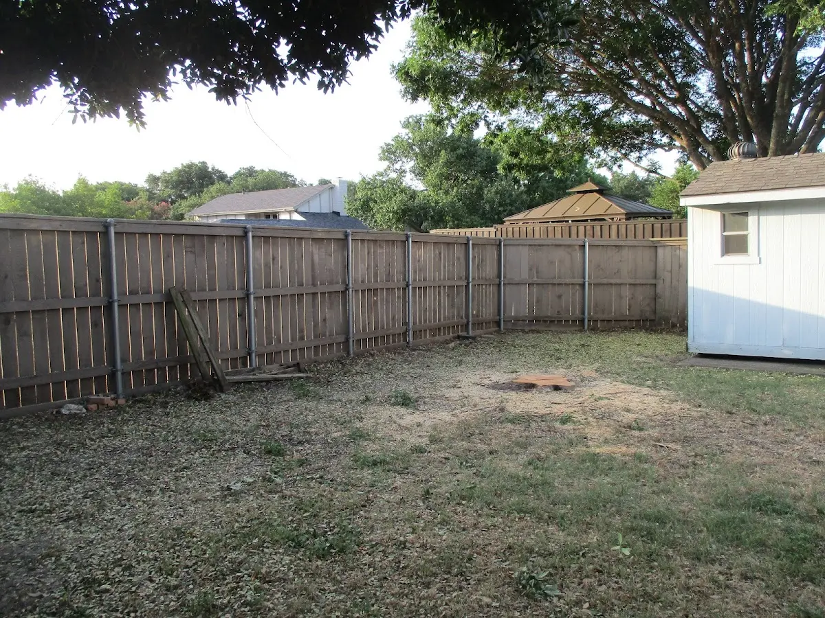 Cleared yard after professional tree removal in Bassett